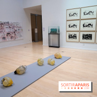 Exposition Contraste et indifférence au Centre culturel canadien - nos photos