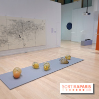 Exposition Contraste et indifférence au Centre culturel canadien - nos photos