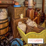 Frozen Ever After : l'attraction La Reine des Neiges à Disneyland Paris - IMG 3843