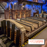 Frozen Ever After : l'attraction La Reine des Neiges à Disneyland Paris