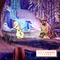 Frozen Ever After : l'attraction La Reine des Neiges à Disneyland Paris