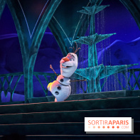 Frozen Ever After : l'attraction La Reine des Neiges à Disneyland Paris