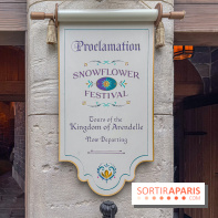 Frozen Ever After : l'attraction La Reine des Neiges à Disneyland Paris
