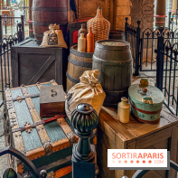 Frozen Ever After : l'attraction La Reine des Neiges à Disneyland Paris - IMG 3817