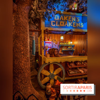 Frozen Ever After : l'attraction La Reine des Neiges à Disneyland Paris