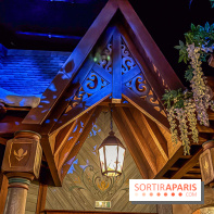 Frozen Ever After : l'attraction La Reine des Neiges à Disneyland Paris