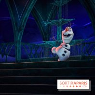 Frozen Ever After : l'attraction La Reine des Neiges à Disneyland Paris