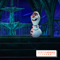 Frozen Ever After : l'attraction La Reine des Neiges à Disneyland Paris