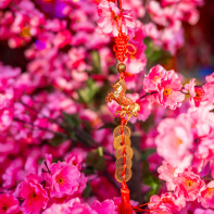 Nouvel An Lunaire à l’Hippodrome Paris-Vincennes : l’Année du Cheval en fête - iStock 2259235763