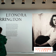 Leonora Carrington, l'exposition onirique d'une artiste surréaliste au musée du Luxembourg, photos - fotor 1771255254108