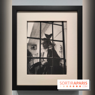 Leonora Carrington, l'exposition onirique d'une artiste surréaliste au musée du Luxembourg, photos - fotor 1771255375376