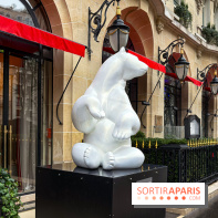 Exposition gratuite au Plaza Athénée : le bestiaire de Michel Bassompierre s'invite au palace - IMG 3907