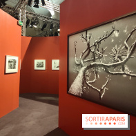 Sebastião Salgado au cœur d'une exposition de photos gratuite à l'Hôtel de Ville de Paris