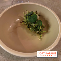 Vivide - Sorbet aux herbes 