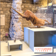 Licornes ! : l’exposition du Musée de Cluny à Paris explore le mythe de la créature légendaire - IMG 4408