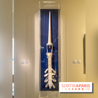 Licornes ! : l’exposition du Musée de Cluny à Paris explore le mythe de la créature légendaire - IMG 4525