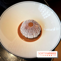 Uni Paris - Dessert praliné