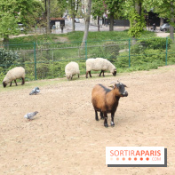 La Bretagne au Jardin d'Acclimatation