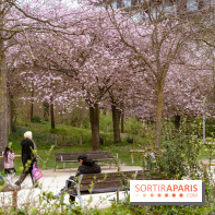 Les cerisiers du parc Martin Luther King - Clichy - Batignoles