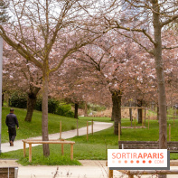 Les cerisiers du parc Martin Luther King - Clichy - Batignoles