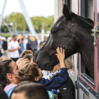 La Fête du Cheval, une journée familiale à l’Hippodrome d’Enghien-Soisy - BV 20250913131548BV  5646