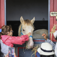 La Fête du Cheval, une journée familiale à l’Hippodrome d’Enghien-Soisy - BV BV 5812