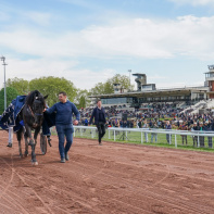 La Fête du Cheval, une journée familiale à l’Hippodrome d’Enghien-Soisy - SCOOPDYGA 116842 059