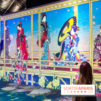 Passion Japon : exposition, installations immersives et street food japonaise à La Villette, à Paris - IMG 7481