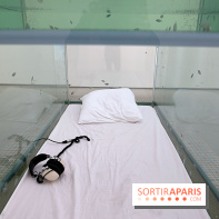 Exposition Glass Slipper d'Ariana Papademetropoulos à la galerie Thaddaeus Ropac Marais, nos photos