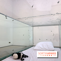 Exposition Glass Slipper d'Ariana Papademetropoulos à la galerie Thaddaeus Ropac Marais, nos photos