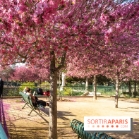 Les pommiers et cerisiers en fleurs du Jardin de Reuilly, Parc de Reuilly à Paris 12e - photos  - détente