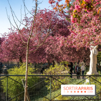 Les pommiers et cerisiers en fleurs du Jardin de Reuilly, Parc de Reuilly à Paris 12e - photos