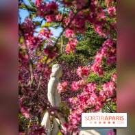 Les pommiers et cerisiers en fleurs du Jardin de Reuilly, Parc de Reuilly à Paris 12e - photos