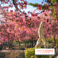 Les pommiers et cerisiers en fleurs du Jardin de Reuilly, Parc de Reuilly à Paris 12e - photos  - visuel