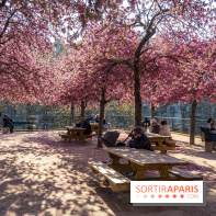 Les pommiers et cerisiers en fleurs du Jardin de Reuilly, Parc de Reuilly à Paris 12e - photos  - pique nique 