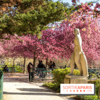 Les pommiers et cerisiers en fleurs du Jardin de Reuilly, Parc de Reuilly à Paris 12e - photos  - balade