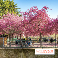 Les pommiers et cerisiers en fleurs du Jardin de Reuilly, Parc de Reuilly à Paris 12e - photos  - table pique nique 