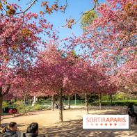 Les pommiers et cerisiers en fleurs du Jardin de Reuilly, Parc de Reuilly à Paris 12e - photos  - bosquet