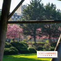 Les pommiers et cerisiers en fleurs du Jardin de Reuilly, Parc de Reuilly à Paris 12e - photos  - A7C09293 2