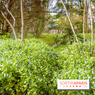 Le jardin botanique de Launay et arboretum de l'Université Paris Saclay à Orsay - les photos