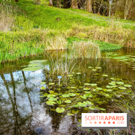 Le jardin botanique de Launay et arboretum de l'Université Paris Saclay à Orsay - les photos