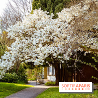 Le jardin botanique de Launay et arboretum de l'Université Paris Saclay à Orsay - les photos