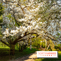 Le jardin botanique de Launay et arboretum de l'Université Paris Saclay à Orsay - les photos