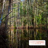 Le jardin botanique de Launay et arboretum de l'Université Paris Saclay à Orsay - les photos