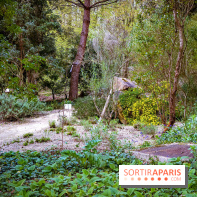 Le jardin botanique de Launay et arboretum de l'Université Paris Saclay à Orsay - les photos - A7C09615