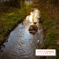 Le jardin botanique de Launay et arboretum de l'Université Paris Saclay à Orsay - les photos - A7C09618