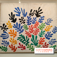 Matisse 1941-1954 : la grande exposition rétrospective sur le peintre incontournable au Grand Palais - fotor 1774268216577