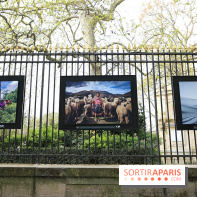 Fragilités & Résiliences, nos photos de l'expo dévoilée sur les grilles du Jardin du Luxembourg