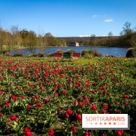 Les tulipes du Château de Dampierre, son jardin anglais et le jardin Le Nôtre