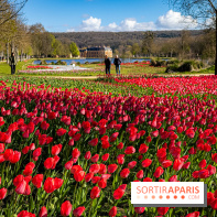 Les tulipes du Château de Dampierre, son jardin anglais et le jardin Le Nôtre